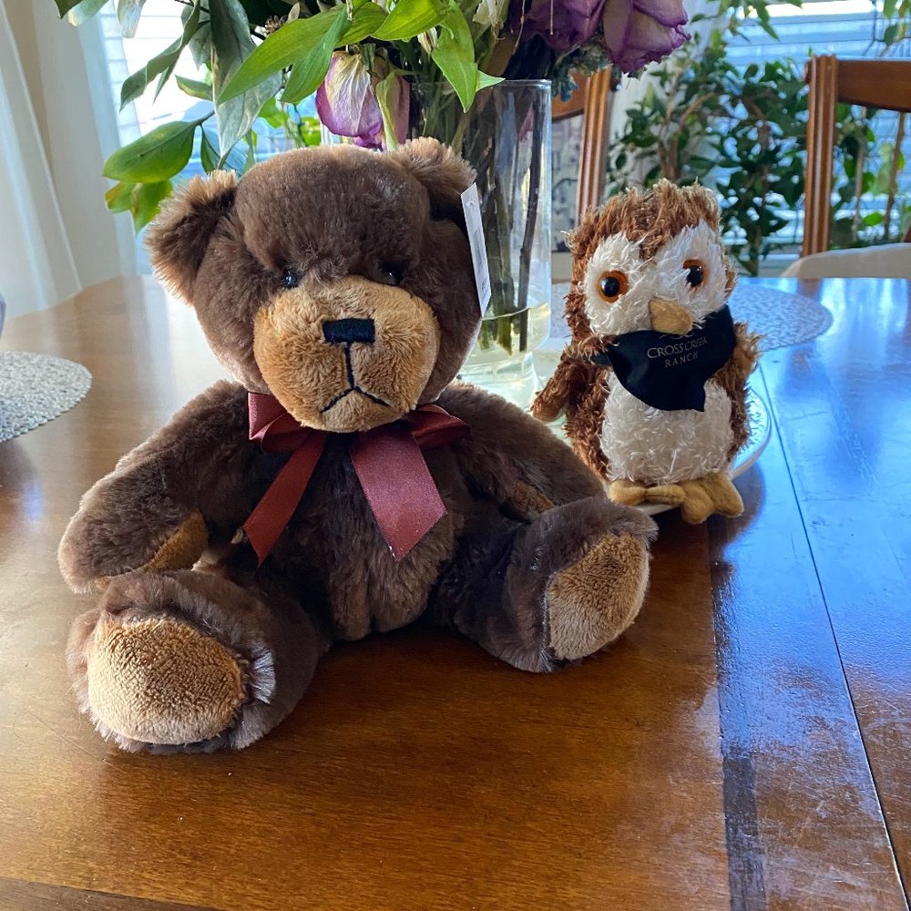 BEAUTIFUL AND SAVE CUTE TEDDY BEAR *